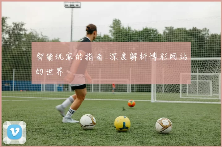 智能玩家的指南_深度解析博彩网站的世界