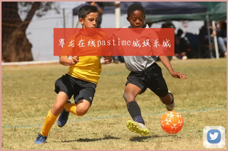 尊龙在线pastime城娱乐城