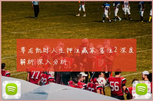 尊龙凯时人生押注赢家 落注2 深度解析 深入分析