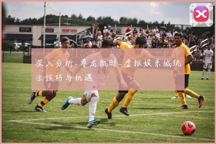 深入分析_尊龙凯时_虚拟娱乐城玩法技巧与机遇