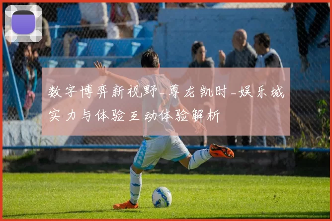 数字博弈新视野_尊龙凯时_娱乐城实力与体验互动体验解析