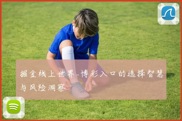 掘金线上世界_博彩入口的选择智慧与风险洞察