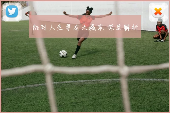 凯时人生尊龙大赢家 深度解析