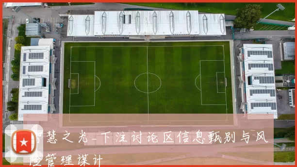 智慧之光_下注讨论区信息甄别与风险管理谋计