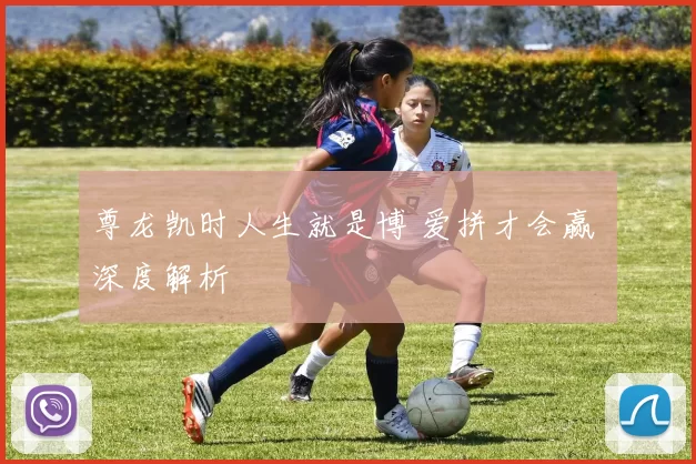 尊龙凯时人生就是博 爱拼才会赢 深度解析