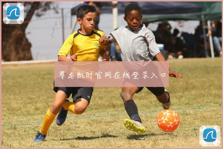 尊龙凯时官网在线登录入口