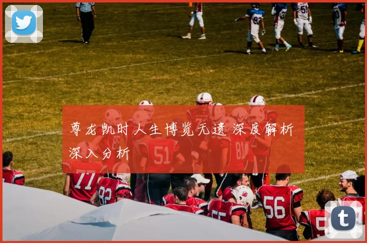 尊龙凯时人生博览无遗 深度解析 深入分析