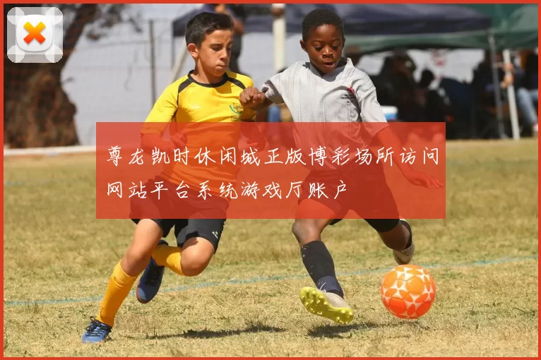 尊龙凯时休闲城正版博彩场所访问网站平台系统游戏厅账户