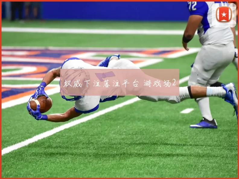 权威下注落注平台 游戏场2