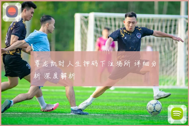 尊龙凯时人生押码下注场所 详细分析 深度解析