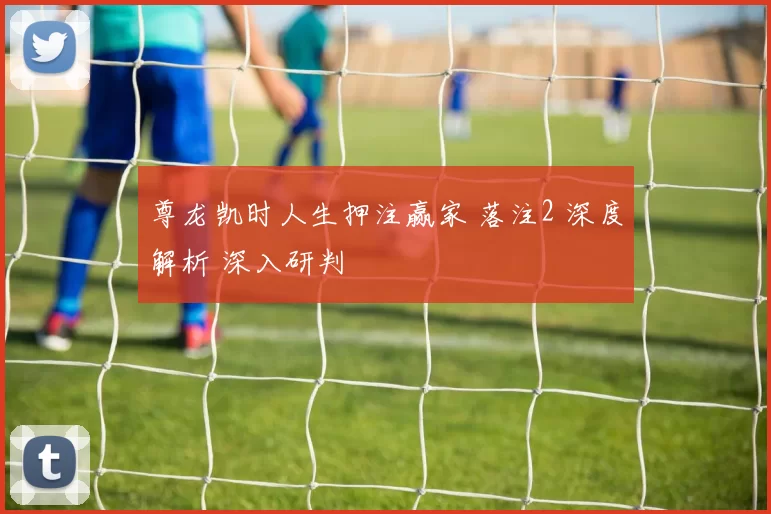 尊龙凯时人生押注赢家 落注2 深度解析 深入研判