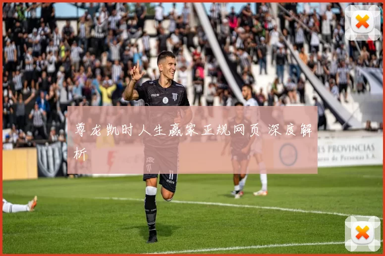 尊龙凯时人生赢家正规网页 深度解析
