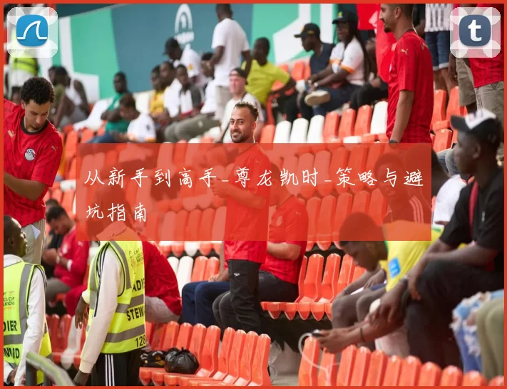 从新手到高手_尊龙凯时_策略与避坑指南