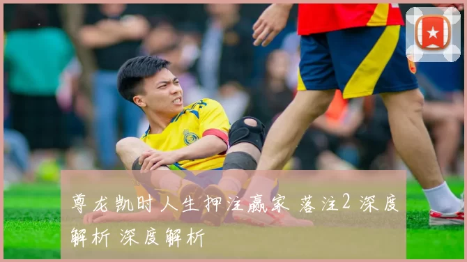 尊龙凯时人生押注赢家 落注2 深度解析 深度解析
