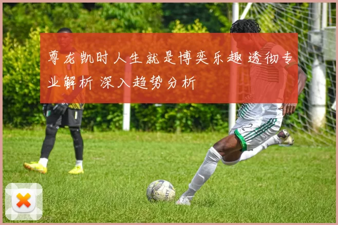 尊龙凯时人生就是博奕乐趣 透彻专业解析 深入趋势分析