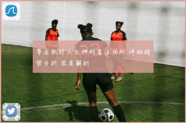 尊龙凯时人生押码落注场所 详细趋势分析 深度解析