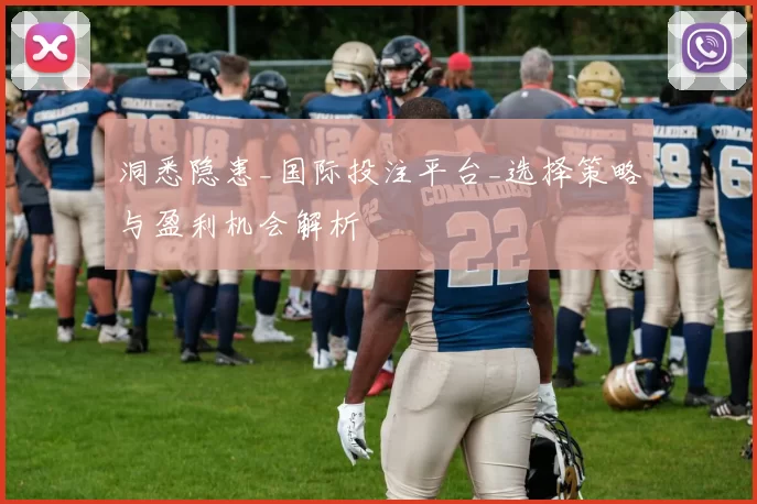 洞悉隐患_国际投注平台_选择策略与盈利机会解析