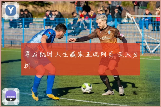 尊龙凯时人生赢家正规网页 深入分析