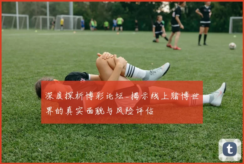 深度探析博彩论坛_揭示线上赌博世界的真实面貌与风险评估