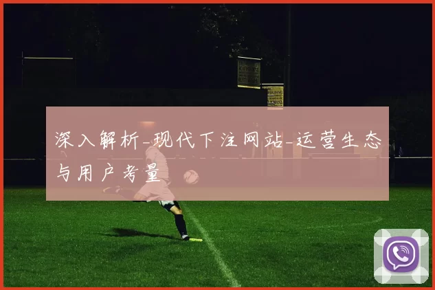 深入解析_现代下注网站_运营生态与用户考量