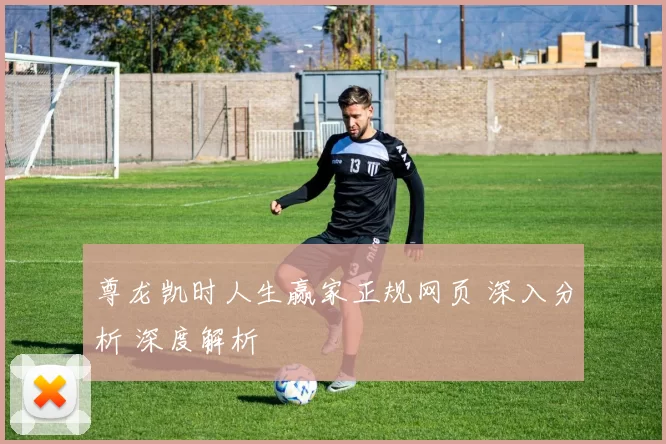 尊龙凯时人生赢家正规网页 深入分析 深度解析