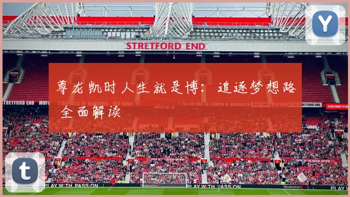 尊龙凯时人生就是博：追逐梦想路 全面解读