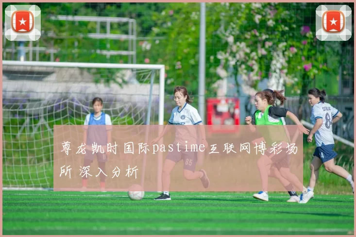 尊龙凯时国际pastime互联网博彩场所 深入分析