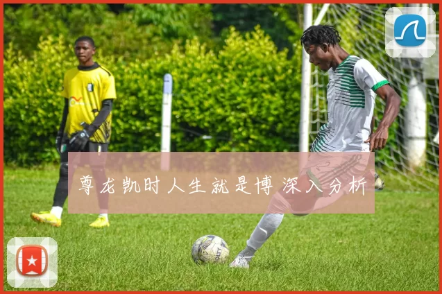 尊龙凯时人生就是博 深入分析