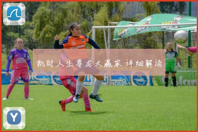 凯时人生尊龙大赢家 详细解读