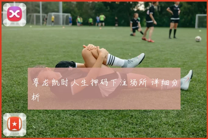 尊龙凯时人生押码下注场所 详细分析