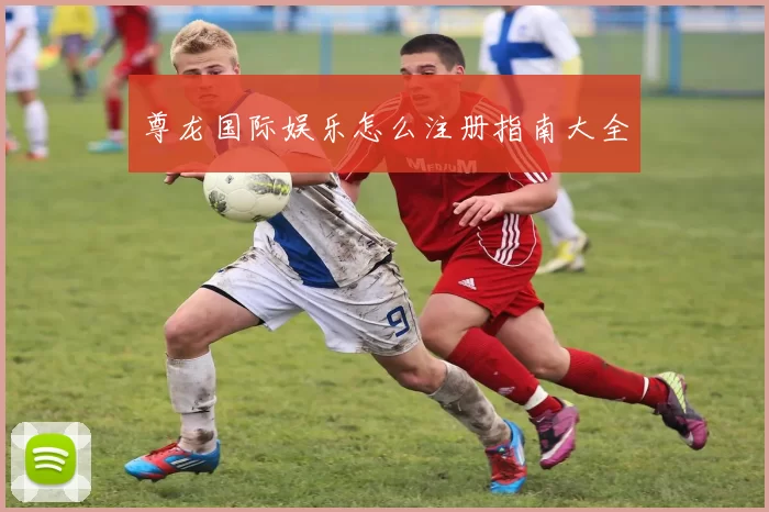 尊龙国际娱乐怎么注册指南大全