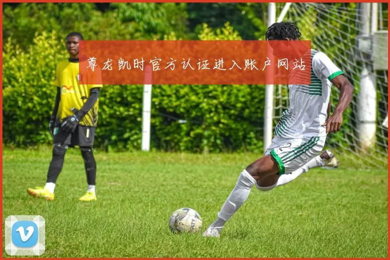 尊龙凯时官方认证进入账户网站