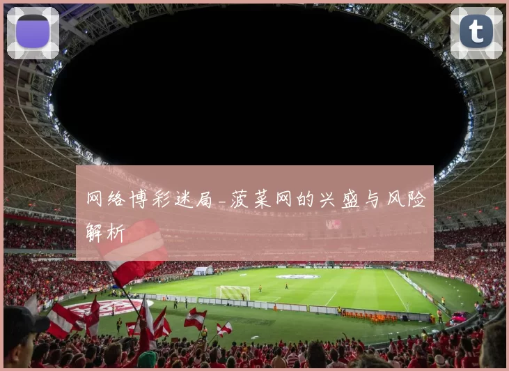 网络博彩迷局_菠菜网的兴盛与风险解析