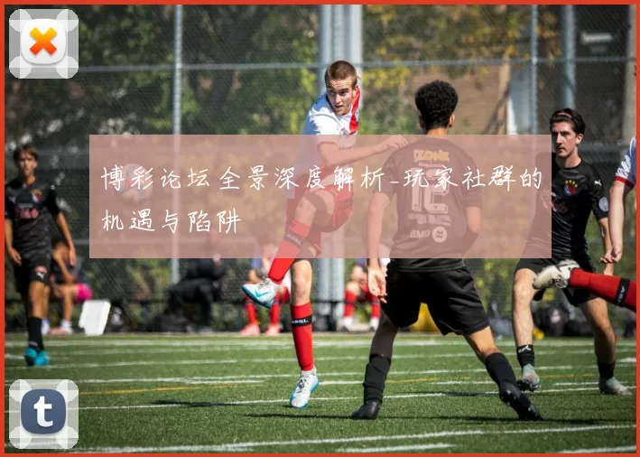 博彩论坛全景深度解析_玩家社群的机遇与陷阱