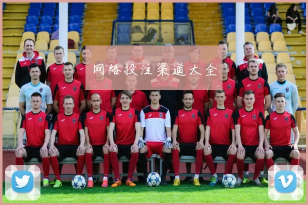网络投注渠道大全
