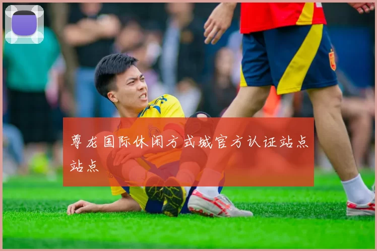 尊龙国际休闲方式城官方认证站点站点