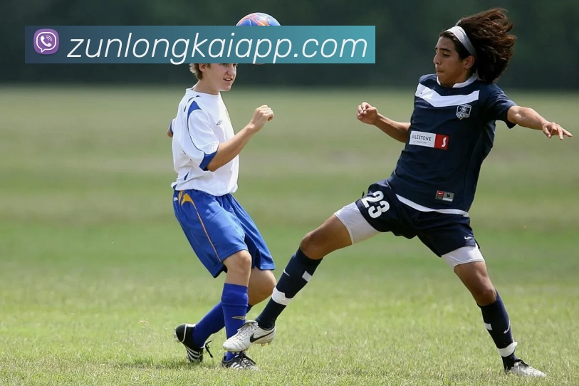 尊龙凯时人生就是搏平台生态图