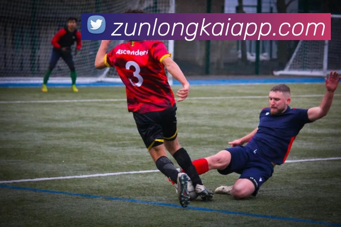 尊龙凯时人生就是搏APP 封面图